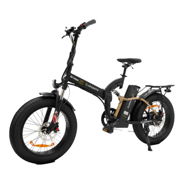 Biciclete electrice