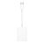 Card Reader Apple USB-C la SD, Alb
