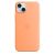 Husa de protectie Apple pentru Apple iPhone 15 Plus din Silicon cu MagSafe, Portocaliu Sorbet