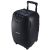 Boxa portabila Akai ABTS-X10 Plus, 50 W, Bluetooth, USB, FM Radio, Microfon inclus, Negru