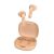 Casti In Ear JBL Vibe Flex Wireless In-Ear Earbuds Beige