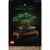 LEGO Creator Expert: Bonsai 10281, 878 piese, Multicolor