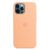 Husa telefon Apple, Silicone Case, MagSafe pentru Apple iPhone 12 Pro Max, Cantaloupe (Seasonal Spring 2021)
