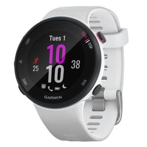 Ceas smartwatch Garmin Forerunner 45S, White