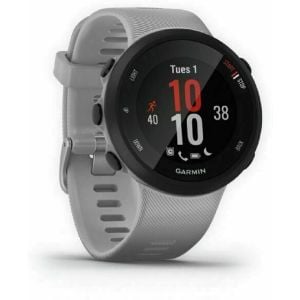 Ceas Smartwatch Garmin Forerunner 45 Plus, Gps, Gri