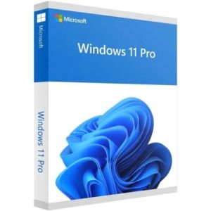 Microsoft Windows 11 Pro Retail, Box, USB