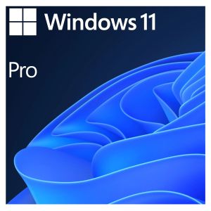 Microsoft Windows 11 Pro, Box, DVD
