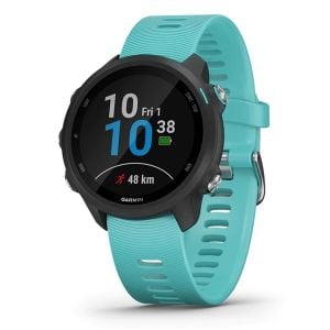 Ceas Smartwatch Garmin Forerunner 245 Music Edition, 42mm, GPS, Albastru