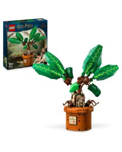 LEGO Harry Potter: Matraguna 76433, 579 piese