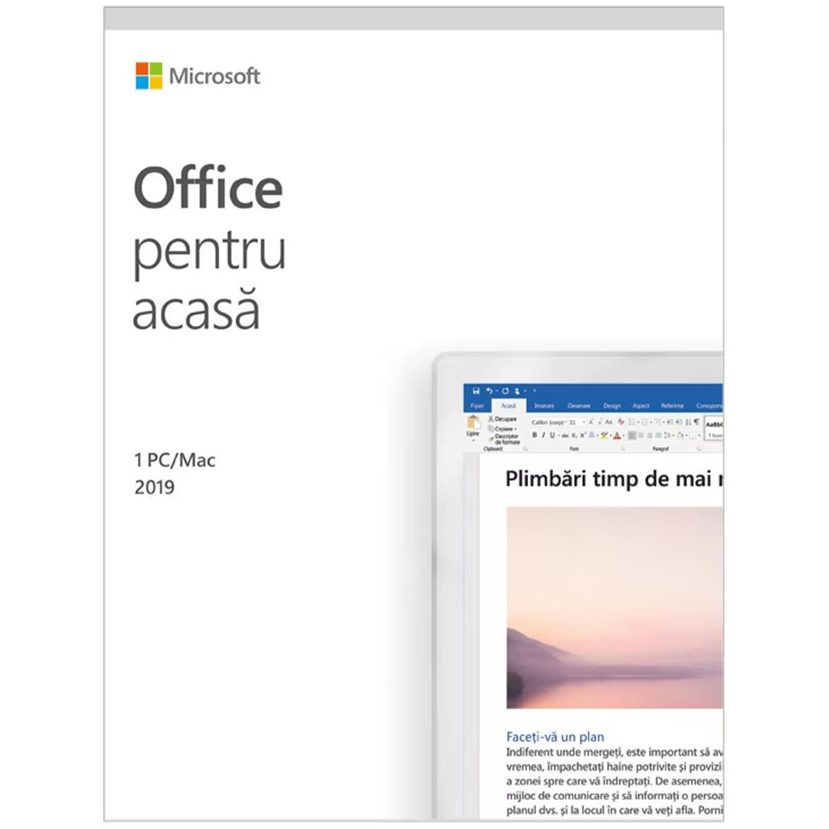 Microsoft Office 2019 Home & Student, Box, Medialess